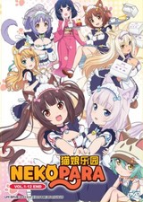 DVD Anime NEKOPARA Serie TV