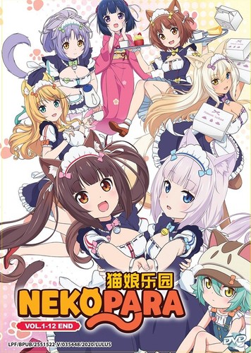 Dvd anime nekopara - serie, tv