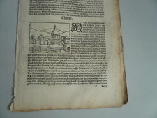 Torino,Papia,Rimini,Siena,Mant