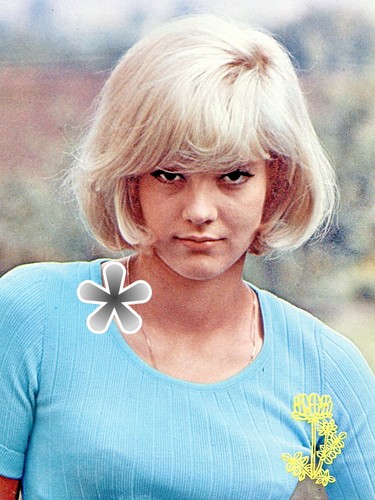 Lot photos sylvie vartan - ,