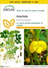 SAFLAX - Kit di coltivazione -