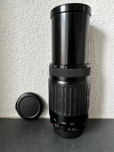 Canon 300 4 0 - 75-300, mm