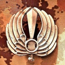 FREGIO  DIVISIONE FANTERIA