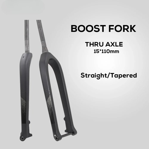 Forcella anteriore full carbon