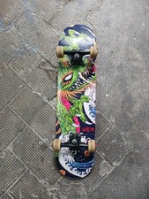 Powell Peralta Steve Caballero