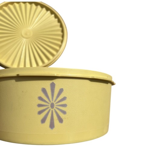 Vintage tupperware contenitore - vintage,