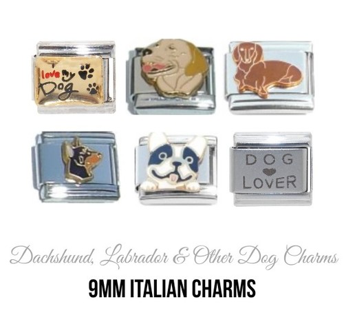 Charm italiano cani razze - charm,