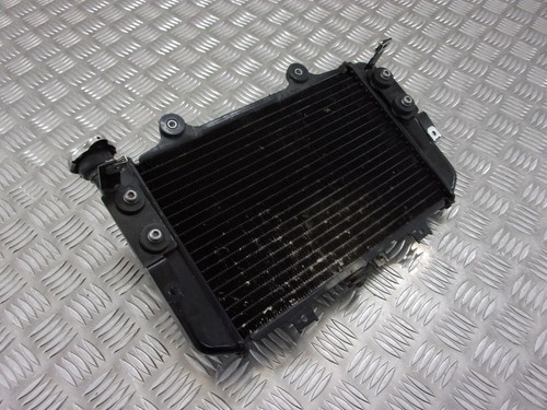 Radiatore bmw 310 2019 - radiatore, gs