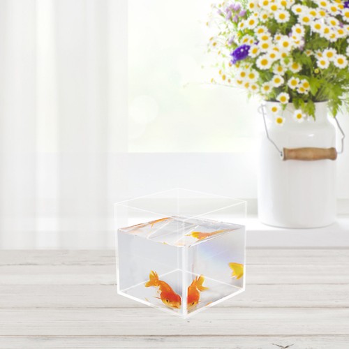 Piccolo acquario vasche - vasche, per