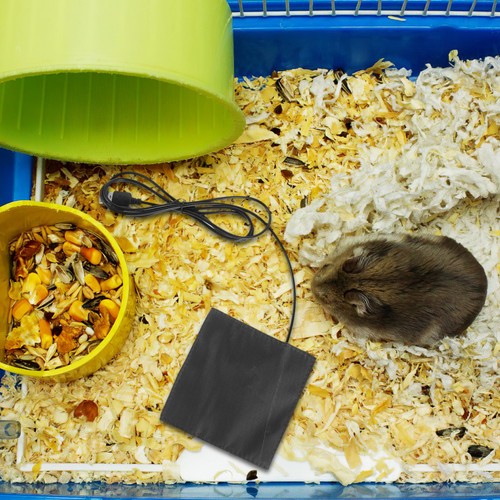 Piccolo termoforo per animali - ,