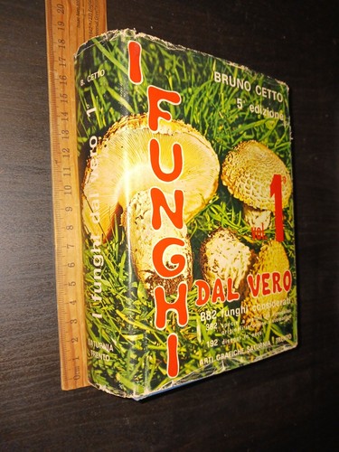 Bruno cetto funghi - bruno, i