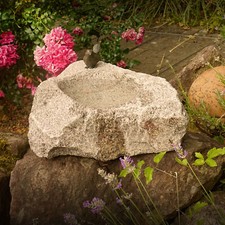 Abbeveratoio uccellino bagno