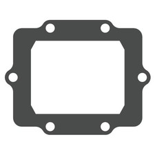 PACCO LAMELLARE KAWASAKI KX