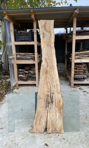 Tavola legno ulivo 169 - di,