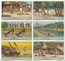 S 1427 / LIEBIG / IL BAMBU