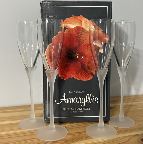 Colony amaryllis flauti - colony,