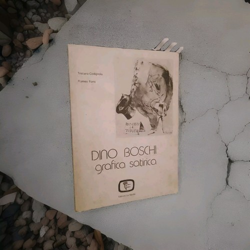491 libro dino boschi - libro,