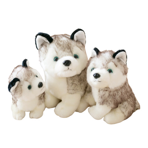 Peluche cane husky pollici - peluche,