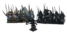 10 Guardia del Mare di Lothern +15 Picchieri arcieri +1 Hero Alti elfi Warhammer