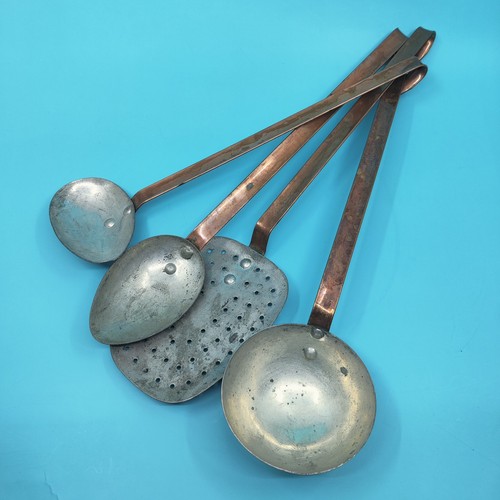 Cucchiaio skimmer mestolo - cucchiaio,