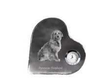 Cane da pastore dei Pirenei