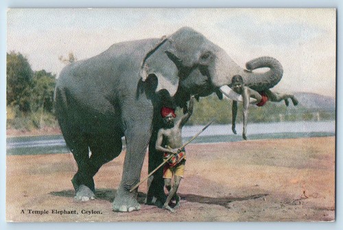 Cartolina colombo ceylon sri - colombo, ceylon/sri