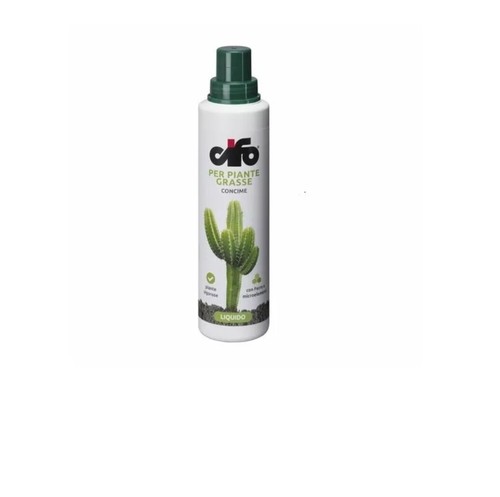 Cifo piante grasse - piante,
