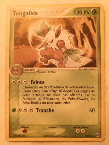 Carte pokémon tengalice - carte,