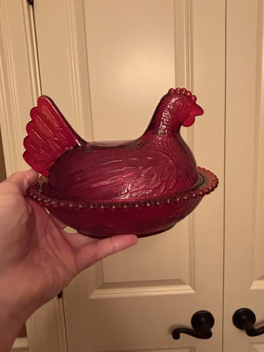 Gallina indiana rossa sul nido - indiana,