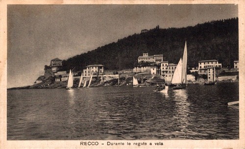 Genova recco durante regate - recco,