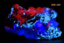 Scheelite fluorescente