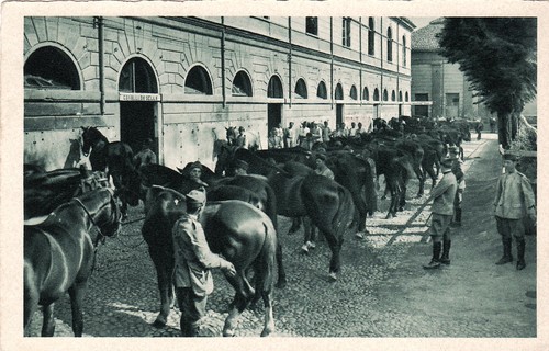 Torino militari scuola - militari:,