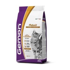 Gemon Monge gatto adult con