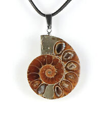 Collana Pendente Pietra Ammonite Fossili Conghiglia Lumaca Portafortuna Unisex
