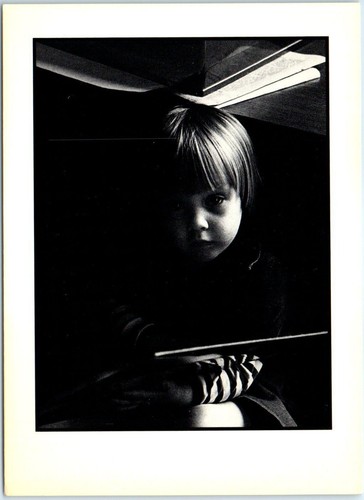 Cartolina bookworm - cartolina,