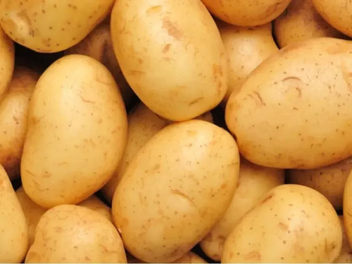 Potato assol g organic - potato,