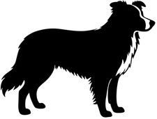 Adesivo border collie sticker - ,