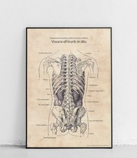 Manifesto anatomico
