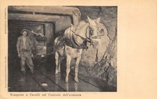 A27 TRAFORO DEL SEMPIONE, TRASPORTO A CAVALLI NEL CUNICOLO DELL'AVANZATA ANIMATA