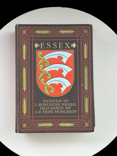 Essex illustrated county - illustrated, book
