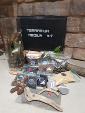 Kit terrario fai da te piante