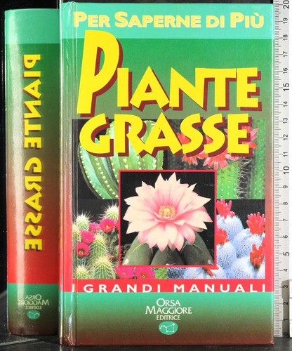 Piante grasse mariella - piante,