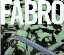 Luciano Fabro, Catalogo mostra di Napoli, 2007, HC, Dj