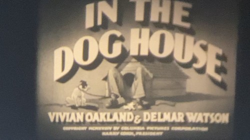 The dog house - “in,