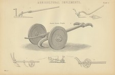 Stampa antica incisione XIX