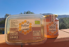 Miele di CASTAGNO BIOLOGICO