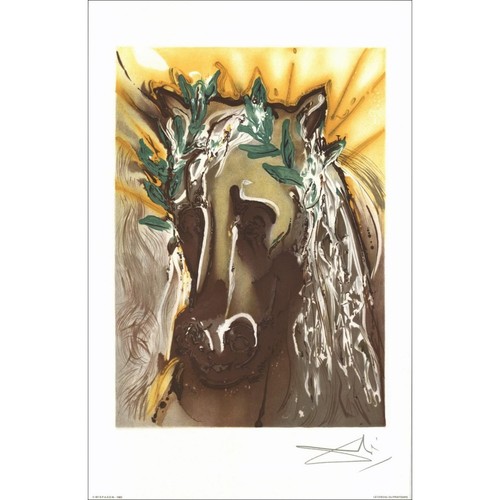 Dali salvador litografia - salvador, ""i