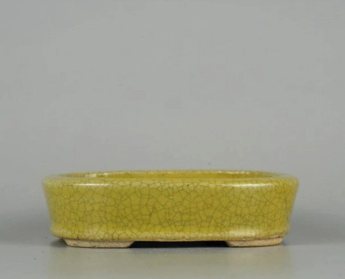 Vaso per bonsai giapponese