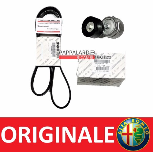Kit cinghia servizi - kit,
