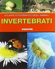 Invertebrati aa.vv.